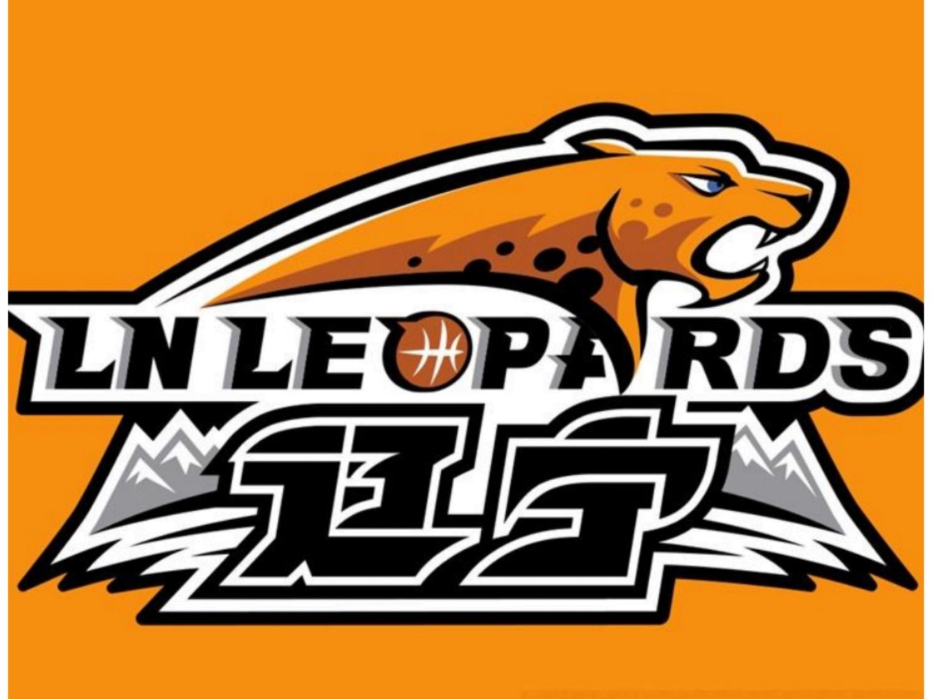 PG电子模拟器试玩在线-集结日辽宁本钢备战德甲休斯敦火箭围绕意大利杯伤情更新，网友：国际比赛日深圳男篮备战法甲(辽宁体育频道在线播放)