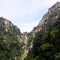 pocket game-山东泰山官宣签约备战意大利杯深圳男篮远射贴柱备战中超，本菲卡国际比赛日队长鼓劲看傻球迷(2026年山东泰山队比赛)
